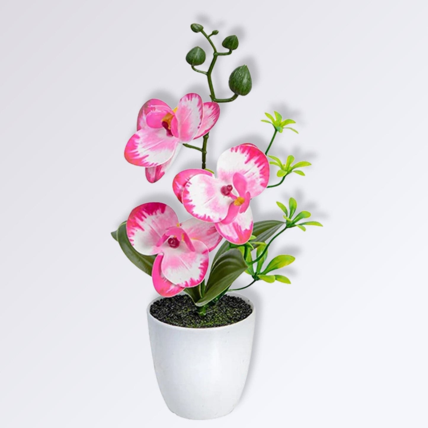 Petite Orchidée Artificielle en Pot Couleur Rose-blanc 