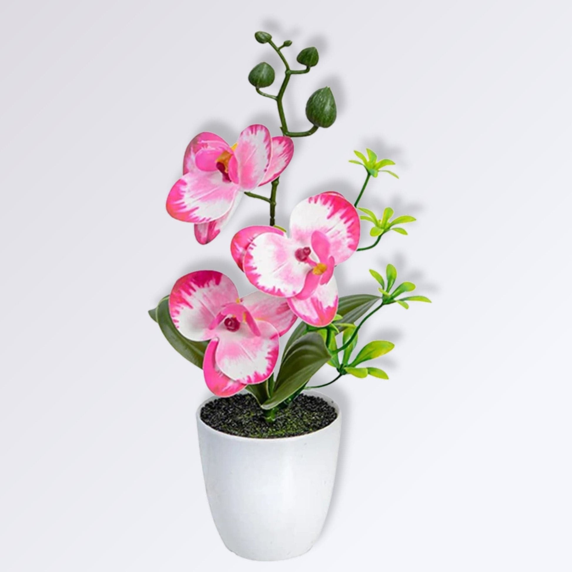 Petite Orchidée Artificielle en Pot Couleur Rose-blanc 