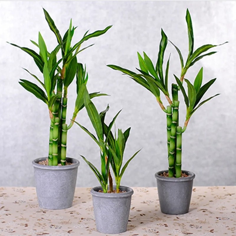 Petites Tiges de Bambou Artificiel
