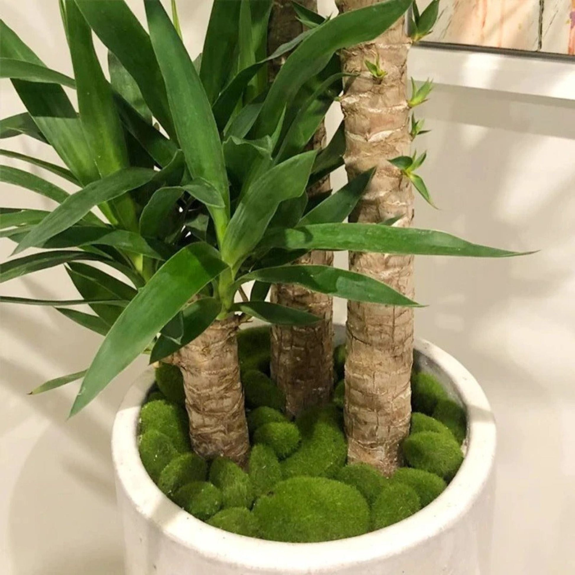 Pierre De Mousse Artificielle Verte