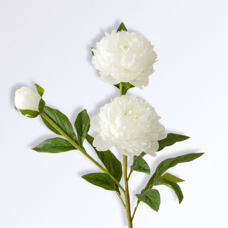 Pivoine Fleurs Artificielles Comme des Vraies Blanc