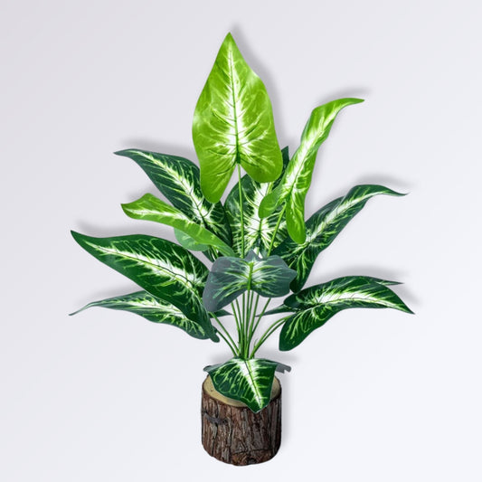 Plante Artificielle Ailes d'Anges au Feuillage Vert et Blanc