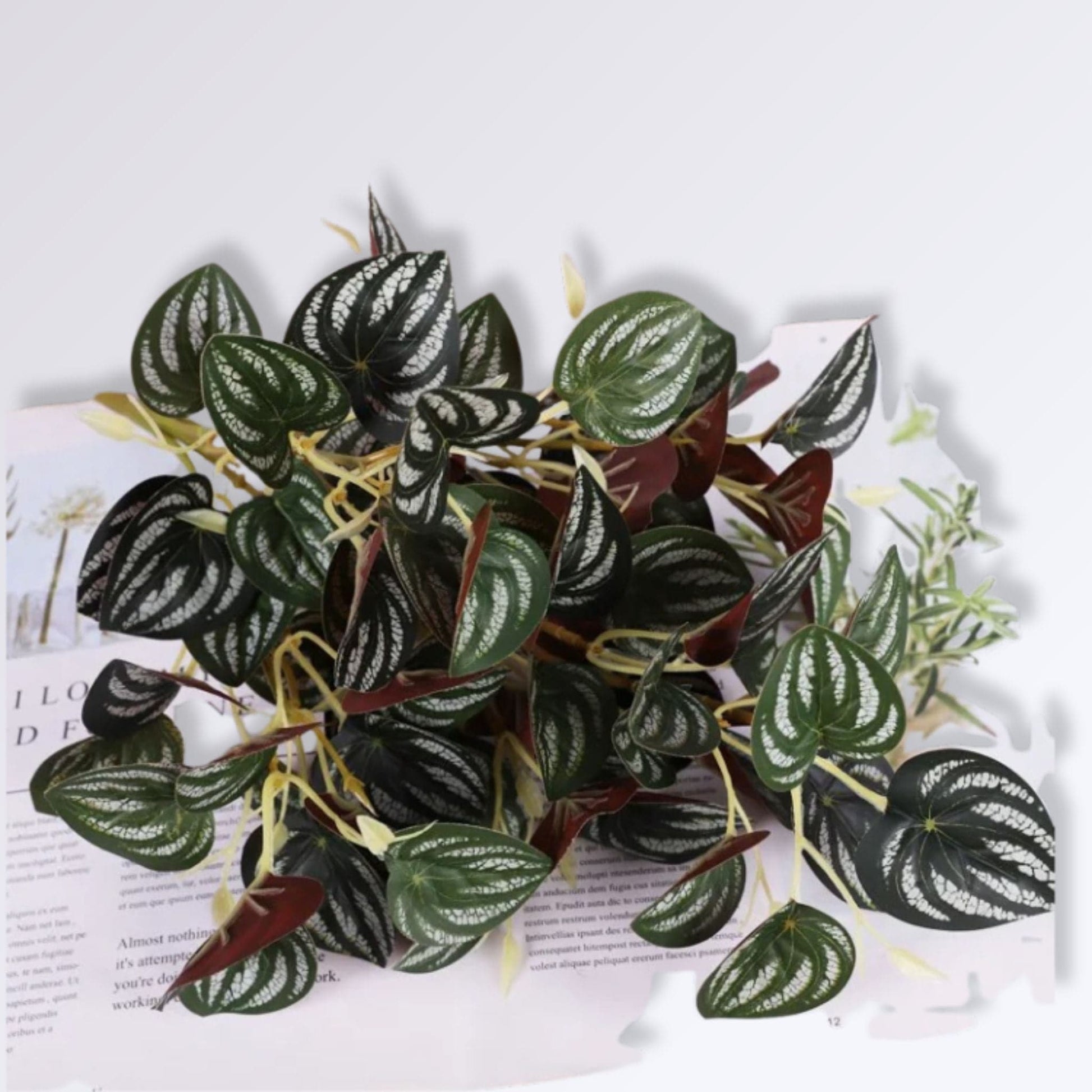 Plante Artificielle Déco de Salon | Charbon