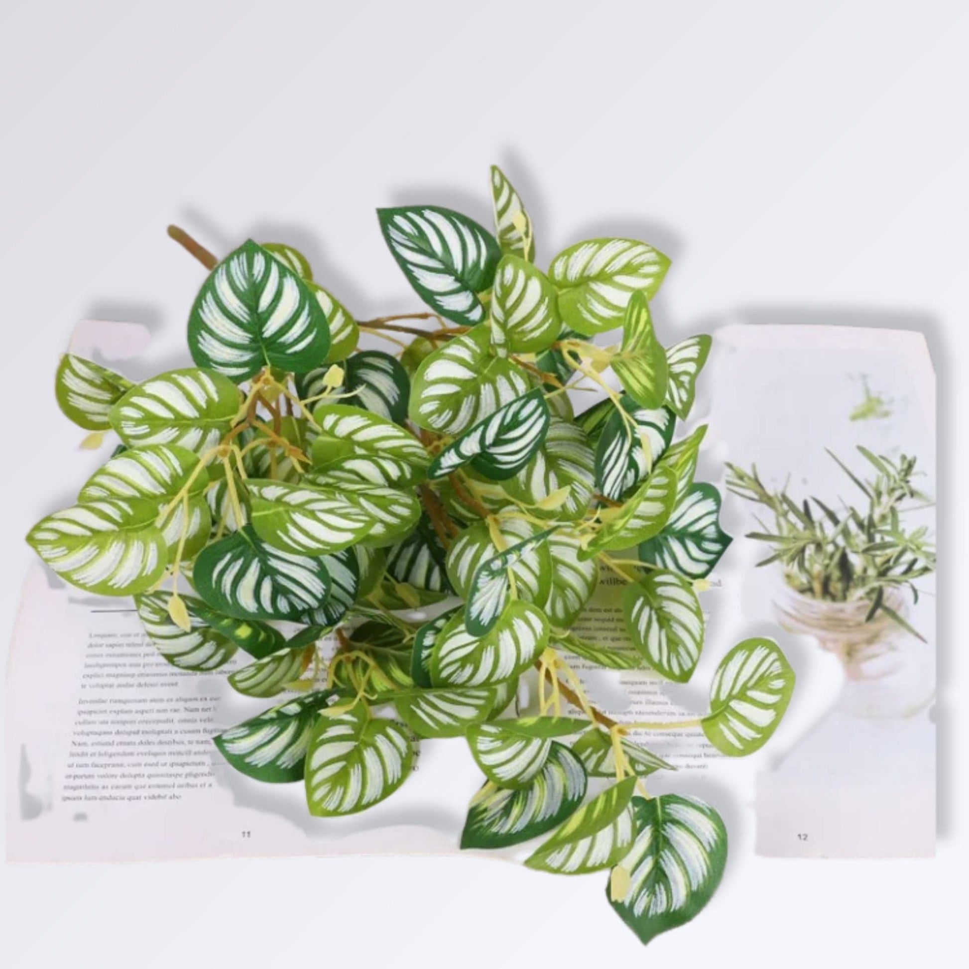 Plante Artificielle Déco de Salon | Rayures