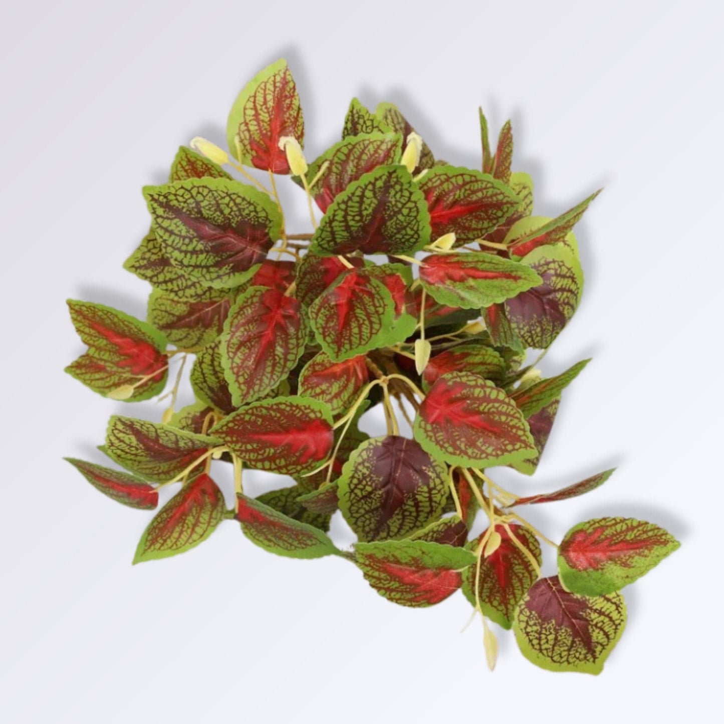 Plante Artificielle Déco de Salon | Exotique