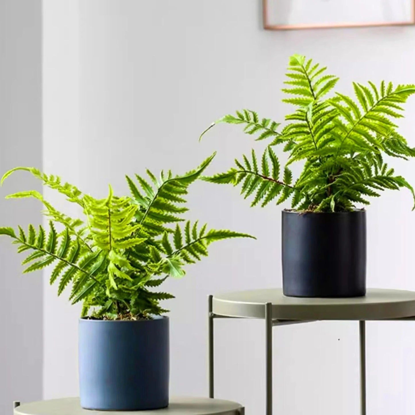 Plante Artificielle Fougère