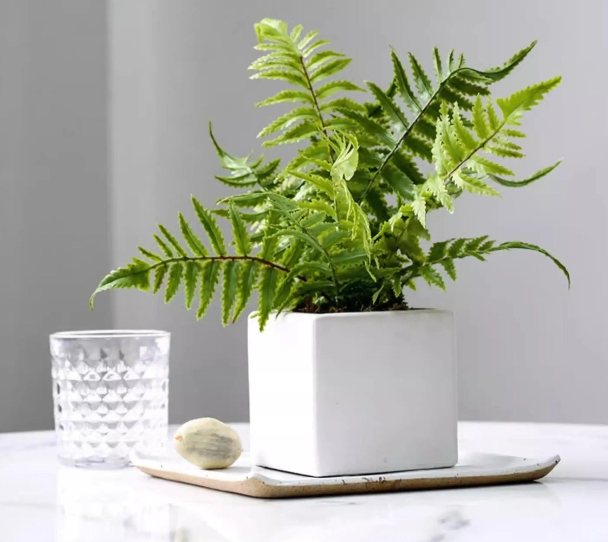 Plante Artificielle Fougère