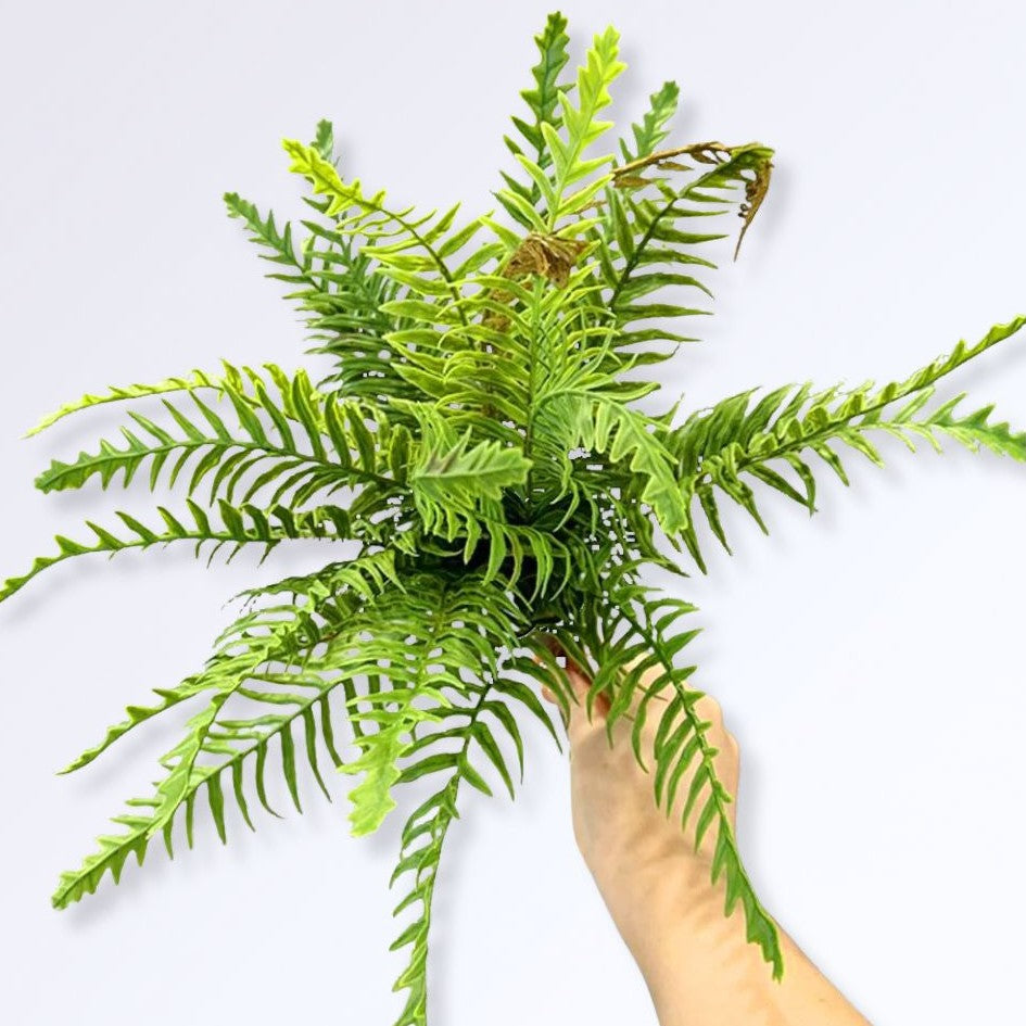 Plante Artificielle Fougère Style F 33cm