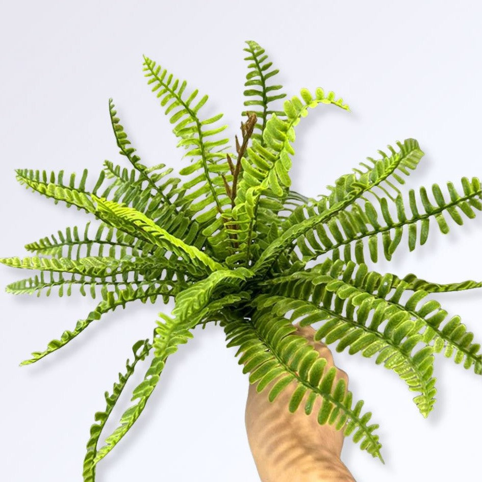 Plante Artificielle Fougère Style G 33cm