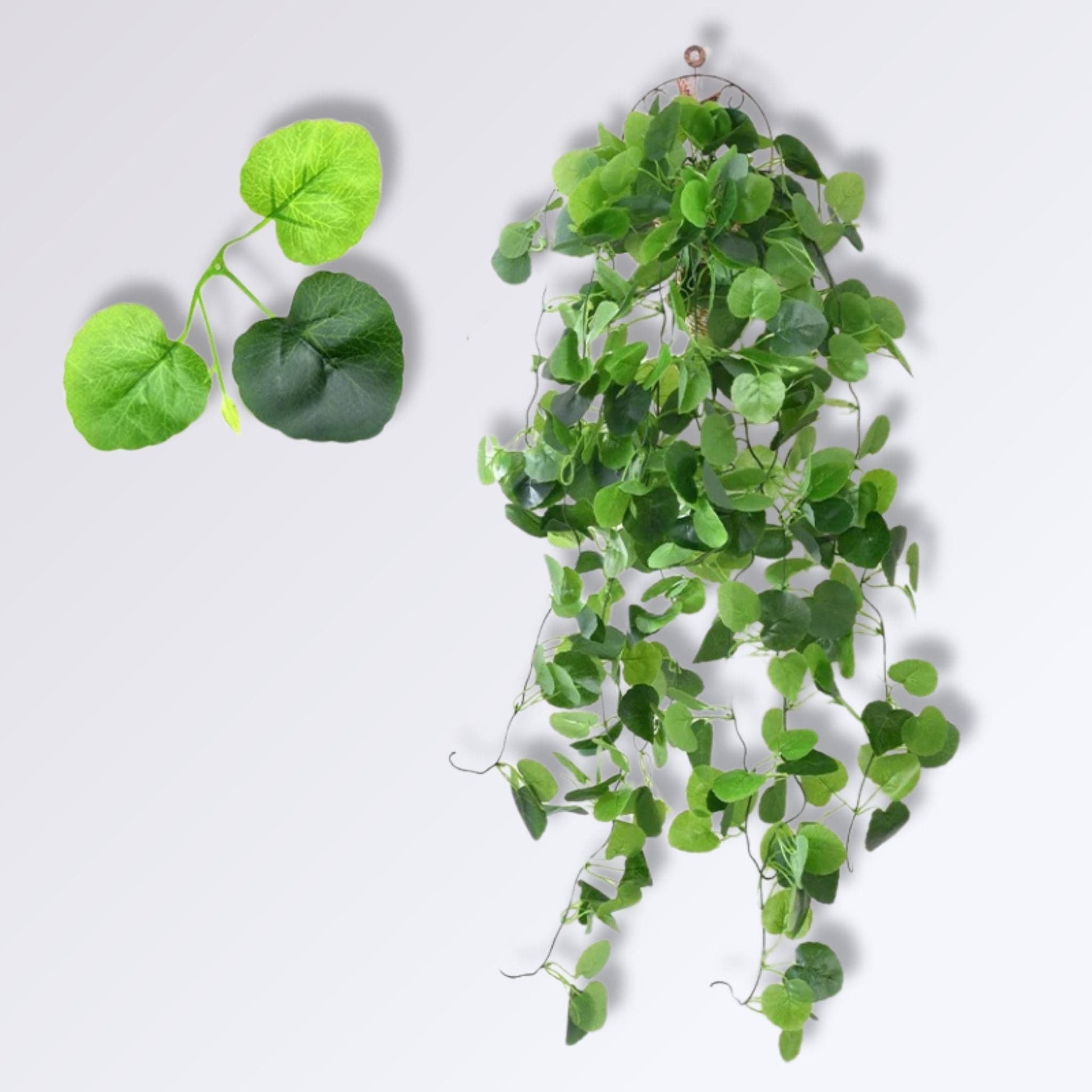 Plante Artificielle Murale Tombante | feuille arrondie