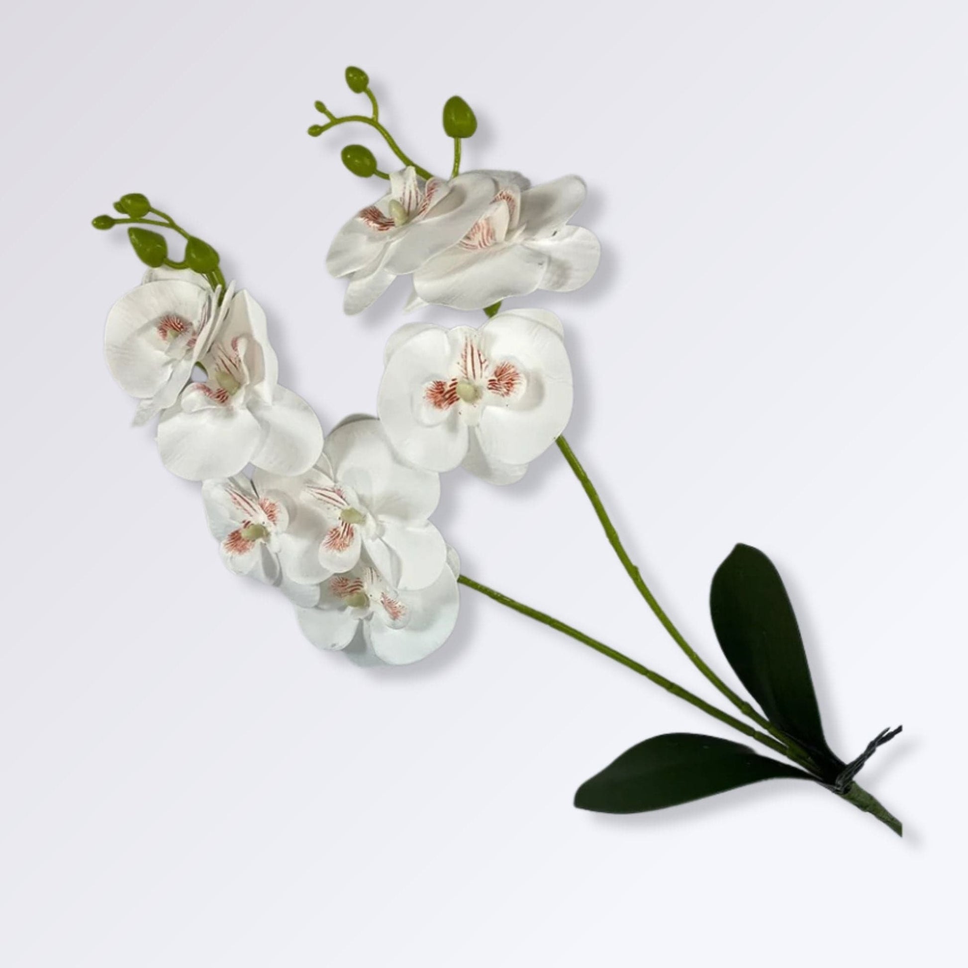 Plante Artificielle Orchidée sur Tige Couleur Blanc