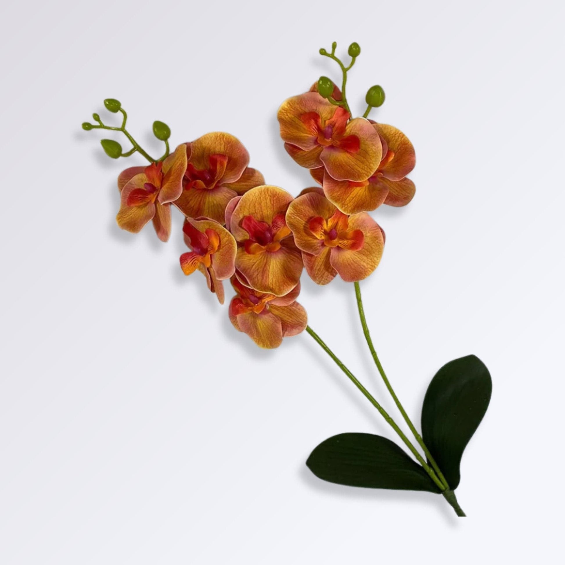 Plante Artificielle Orchidée sur Tige Couleur Orange
