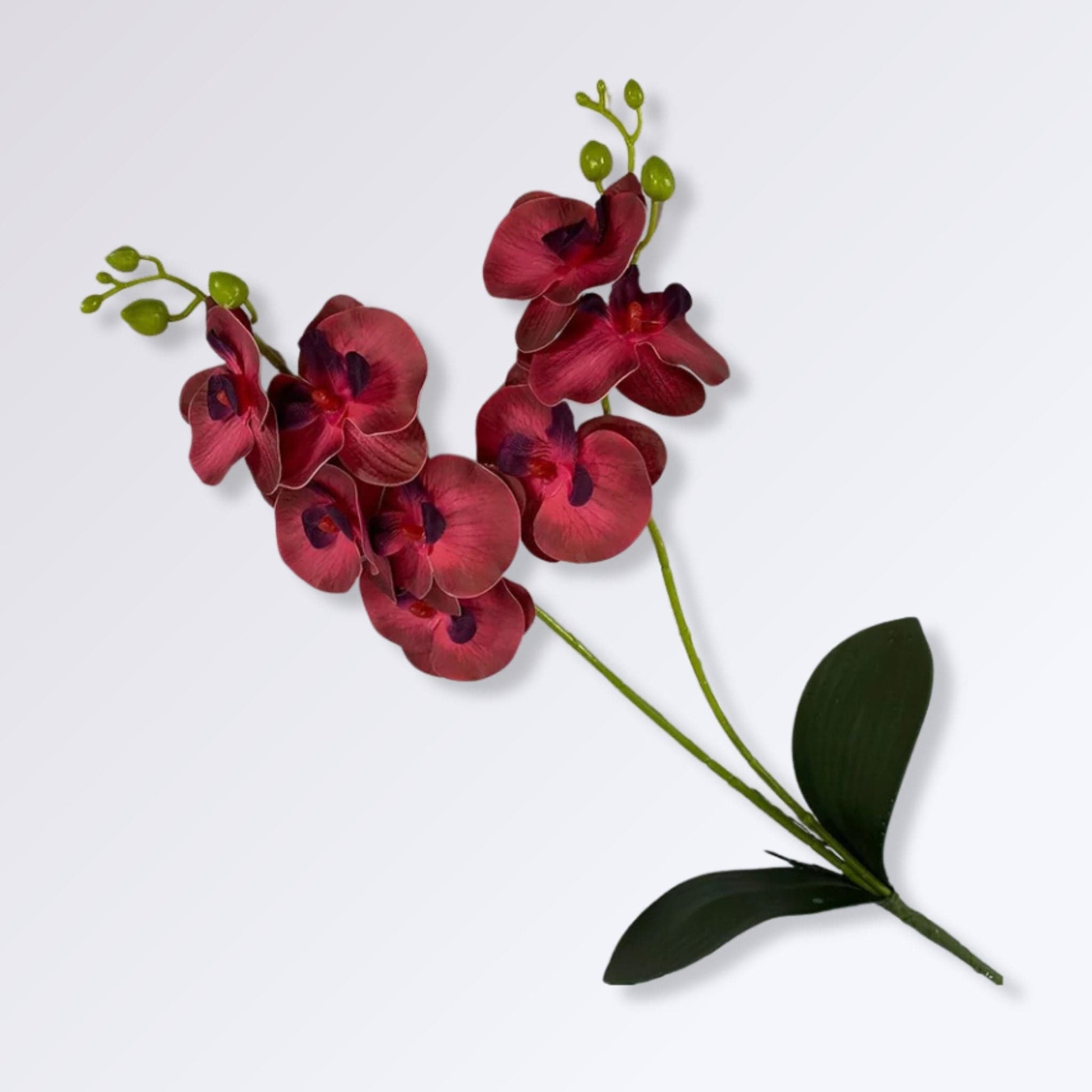 Plante Artificielle Orchidée sur Tige Couleur Rouge foncé