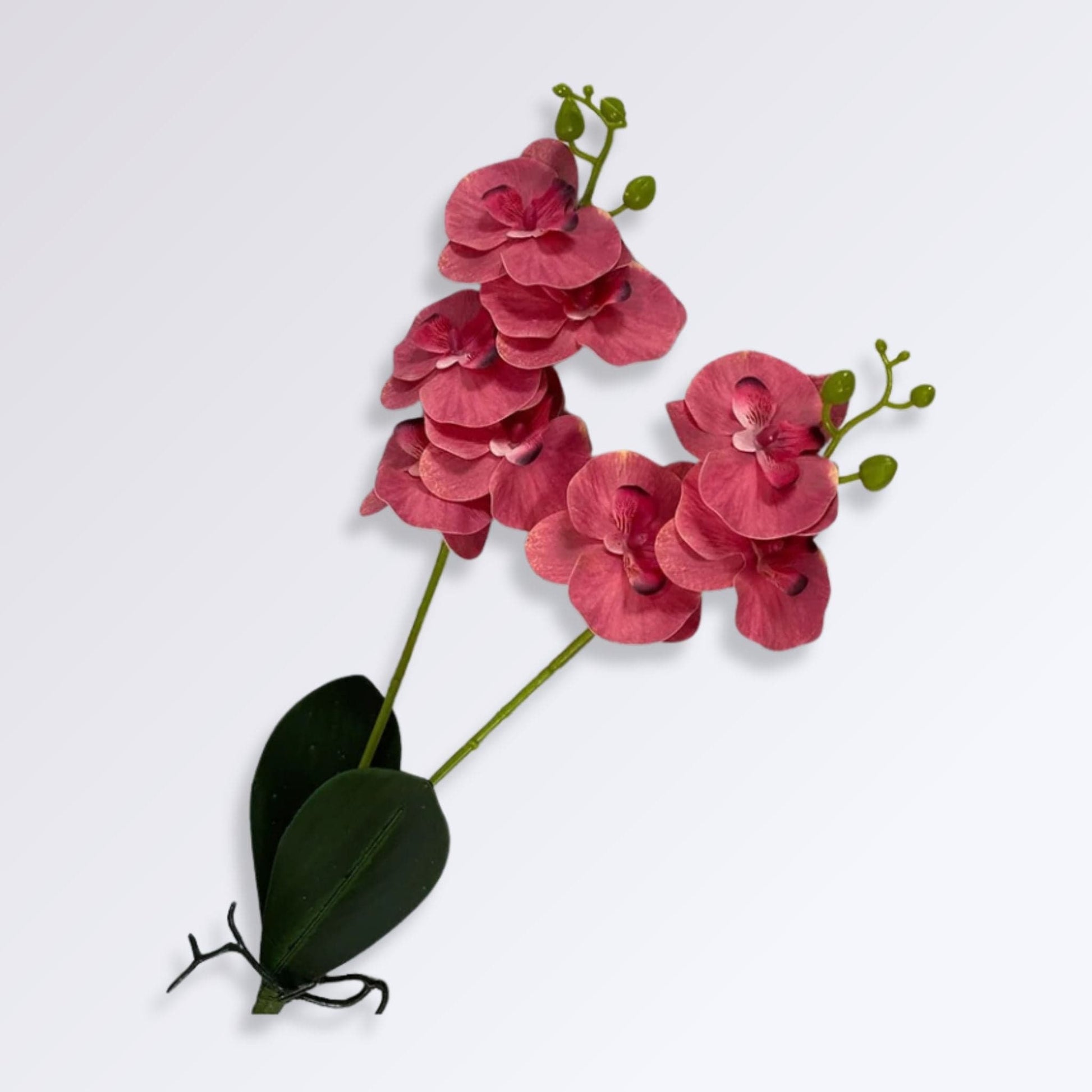 Plante Artificielle Orchidée sur Tige Couleur Rouge clair