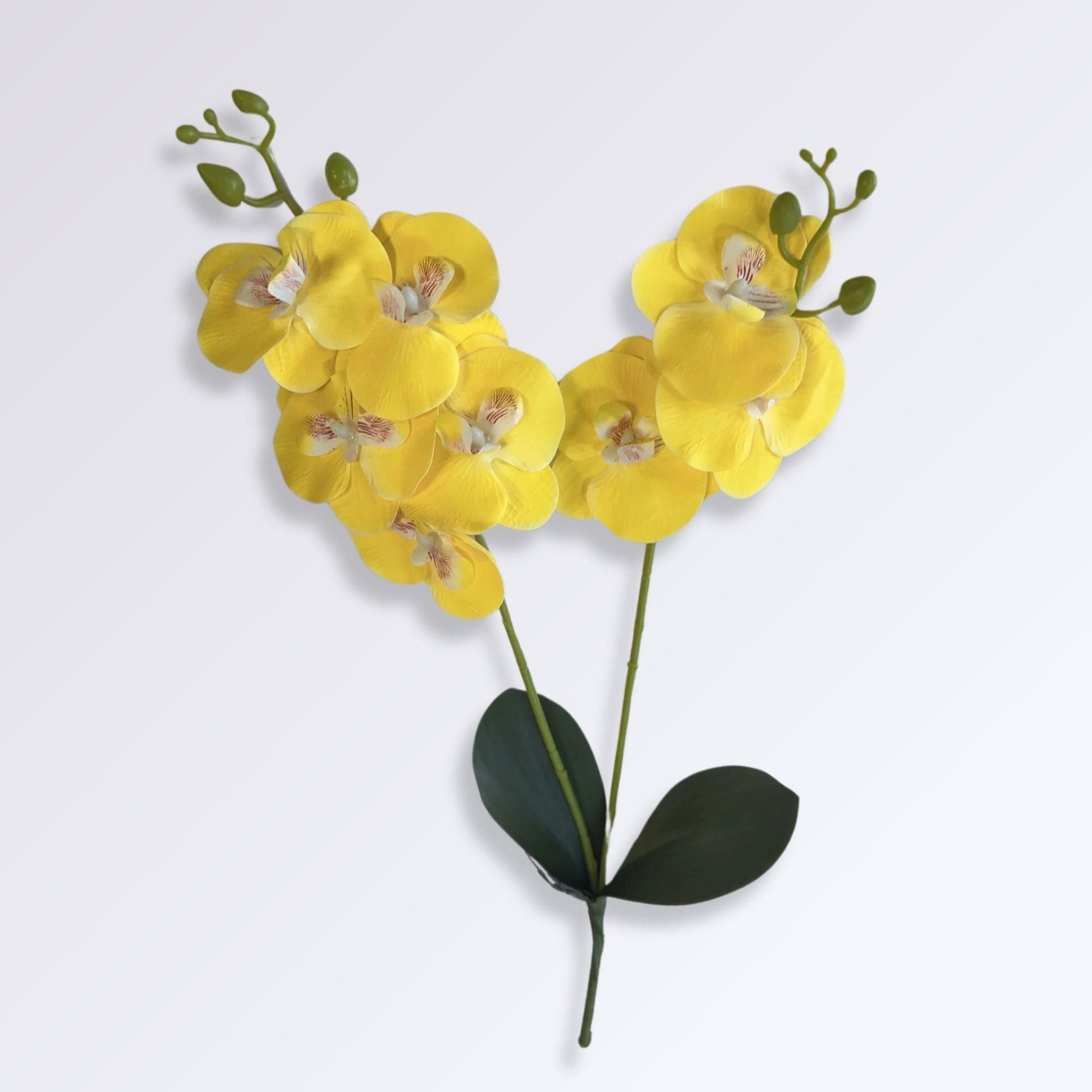 Plante Artificielle Orchidée sur Tige Couleur Jaune clair