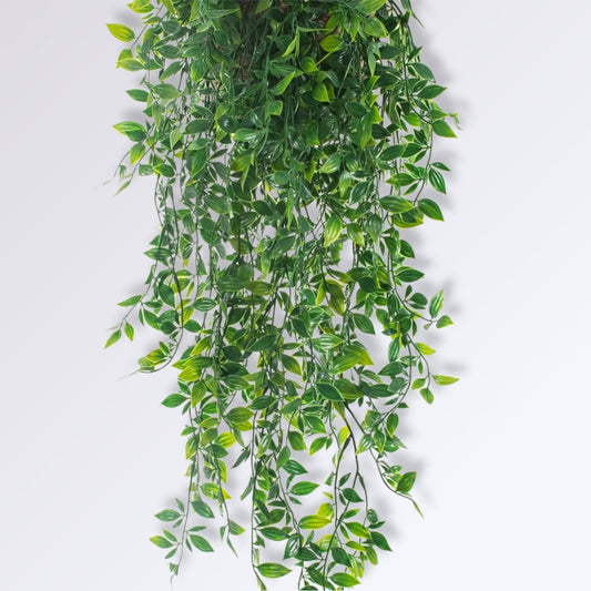 Plante Retombante Artificielle