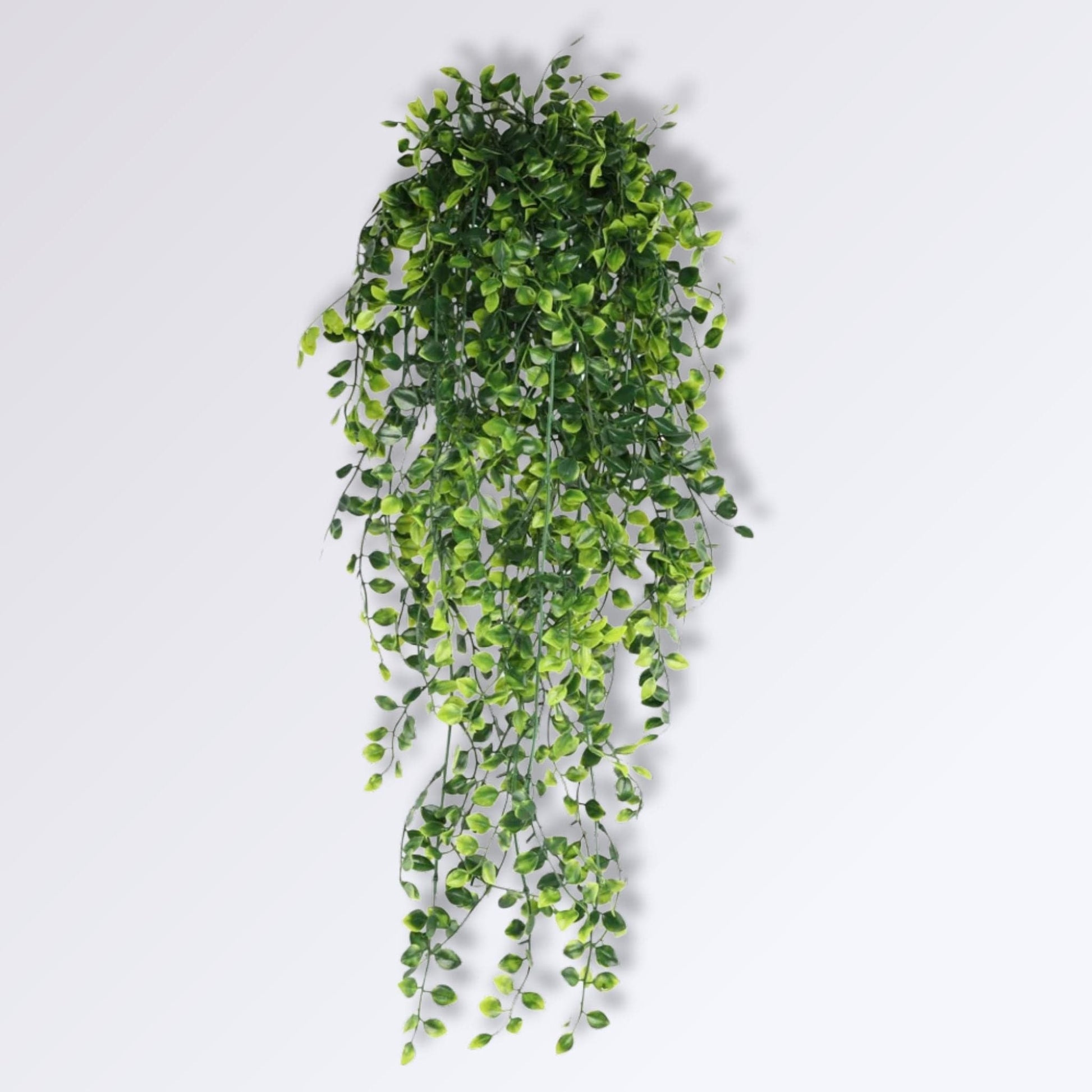 Plante Verte Artificielle Suspendue Lierre