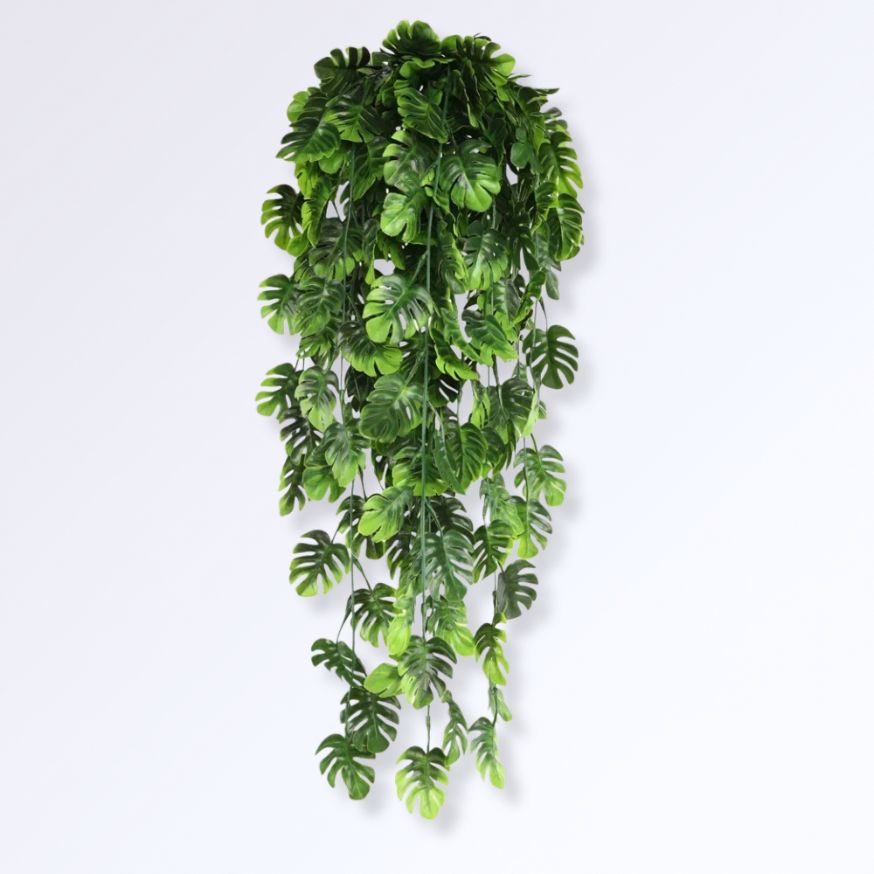 Plante Verte Retombante Artificielle Feuilles de tortue