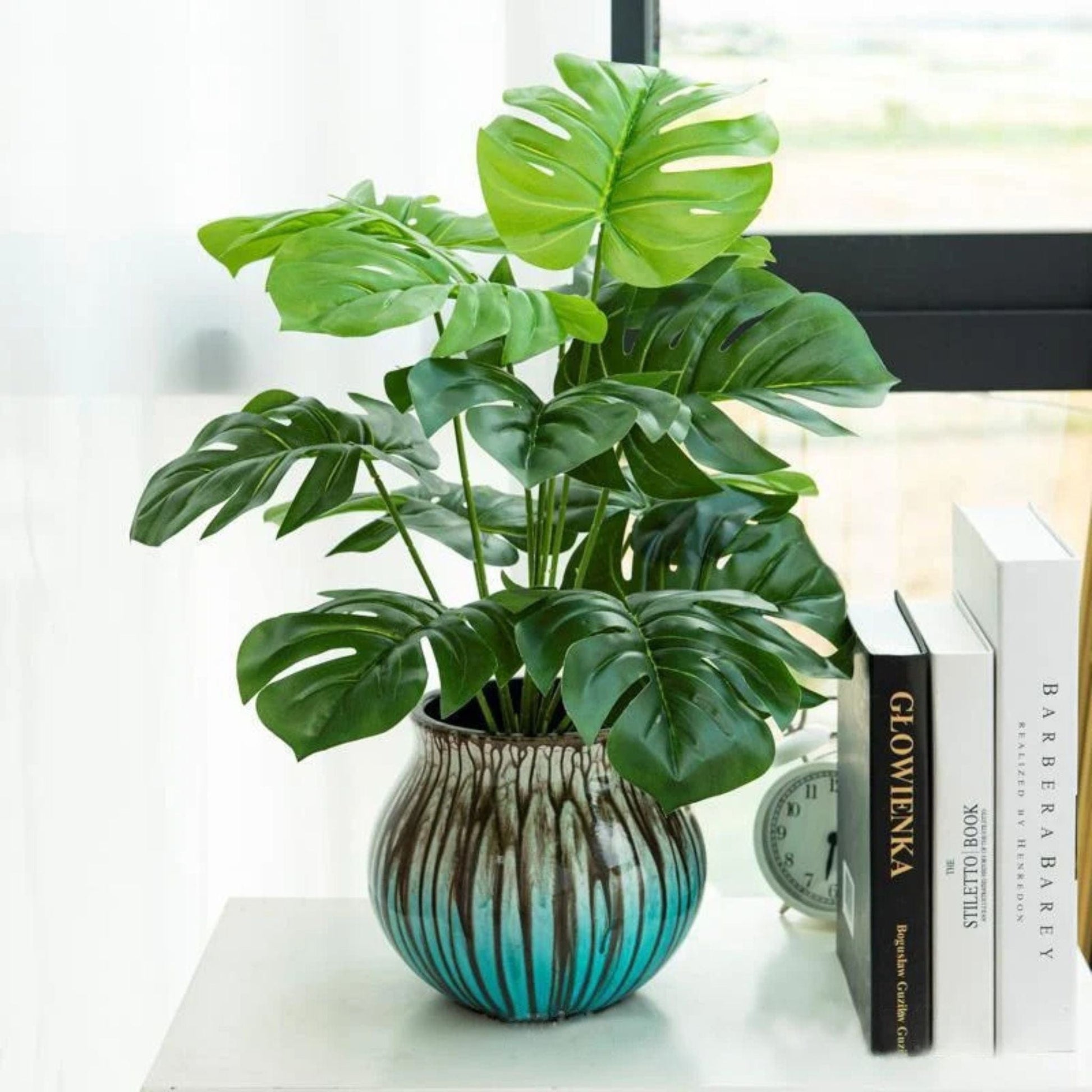 Plante Verte d’Intérieur sur Tronc