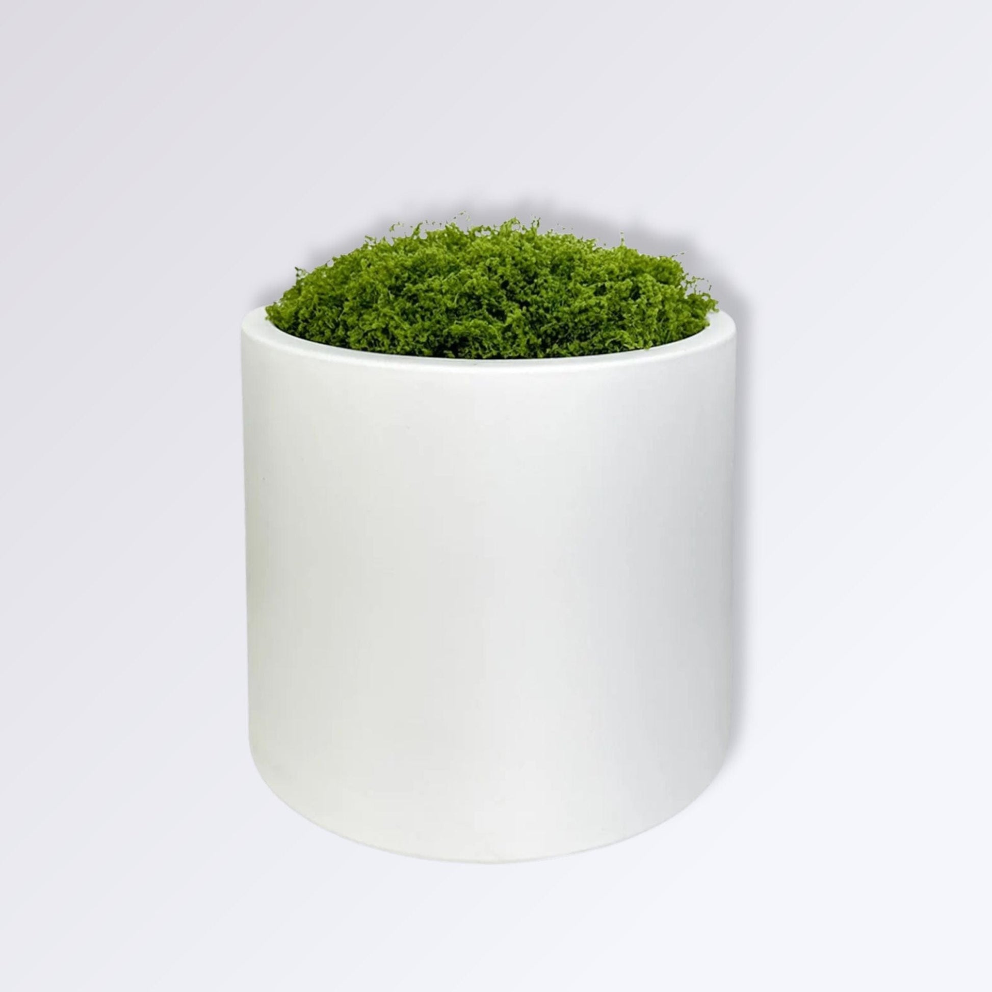 Pot de Mousse Artificielle Couleur Blanc Pur