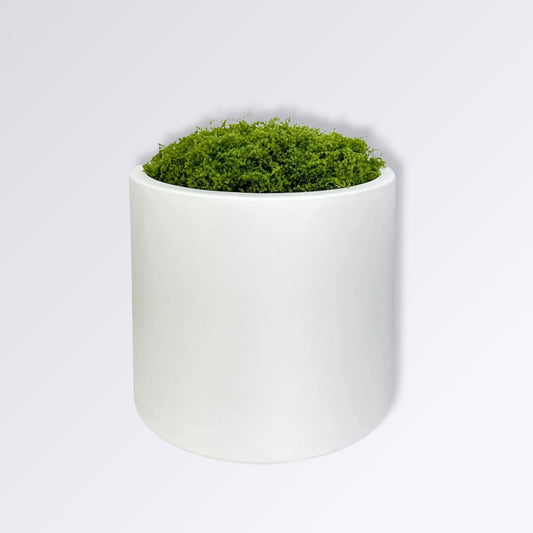 Pot de Mousse Artificielle Couleur Blanc Pur