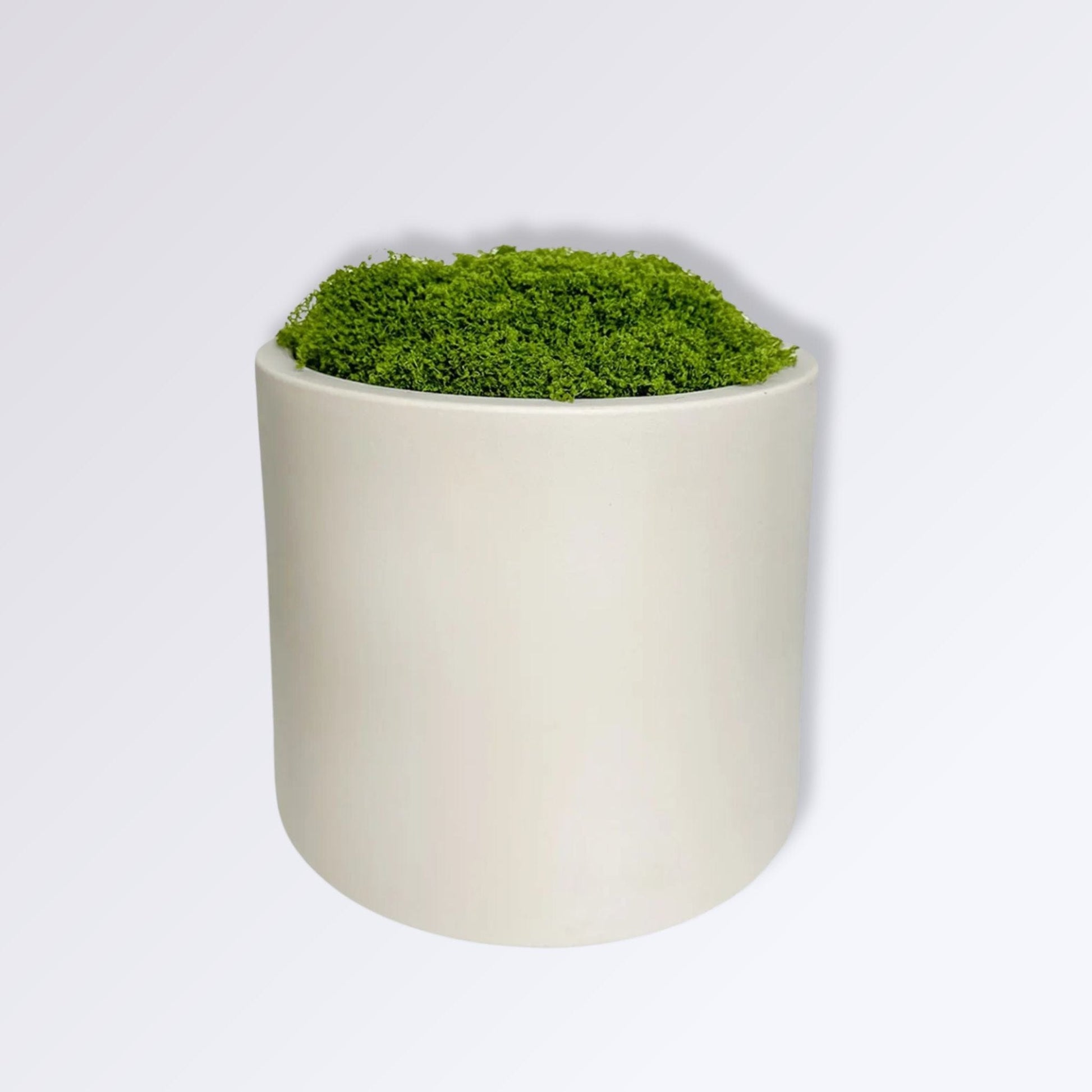 Pot de Mousse Artificielle Couleur Blanc Cassé