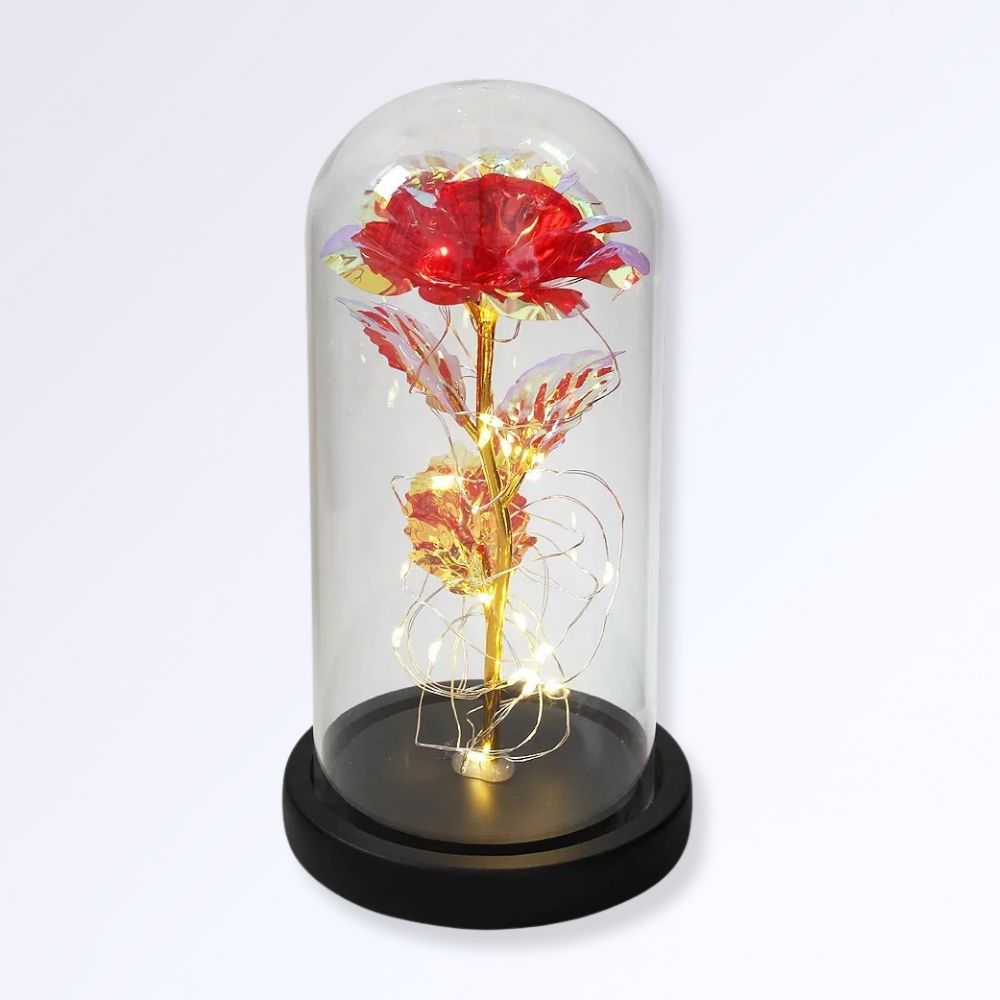 Rose Éternelle Sous Cloche  Socle Noir Couleur Rouge brillant