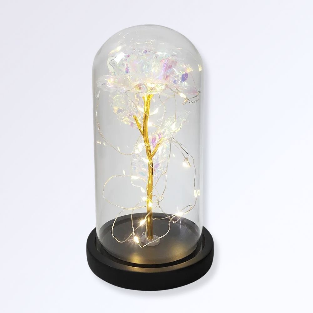 Rose Éternelle Sous Cloche  Socle Noir Couleur Blanc brillant