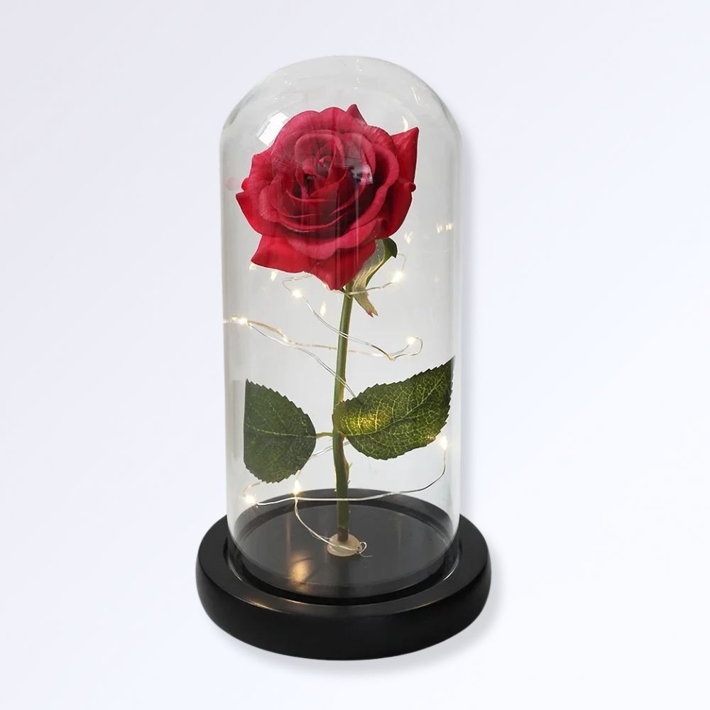 Rose Éternelle Sous Cloche Socle Noir Couleur rouge naturel