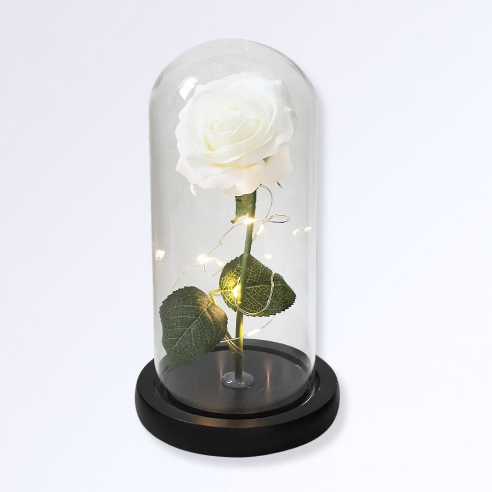 Rose Éternelle Sous Cloche  Socle Noir Couleur Blanc naturel