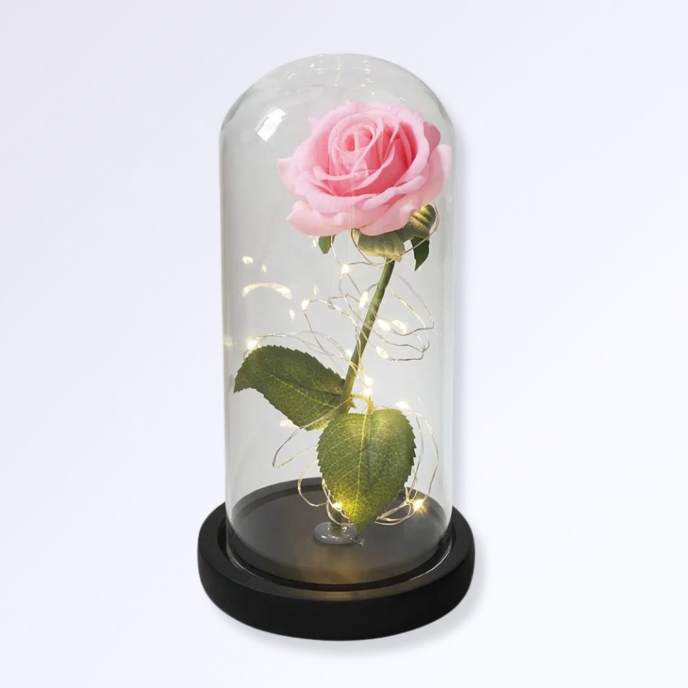 Rose Éternelle Sous Cloche  Socle Noir Couleur rose naturel