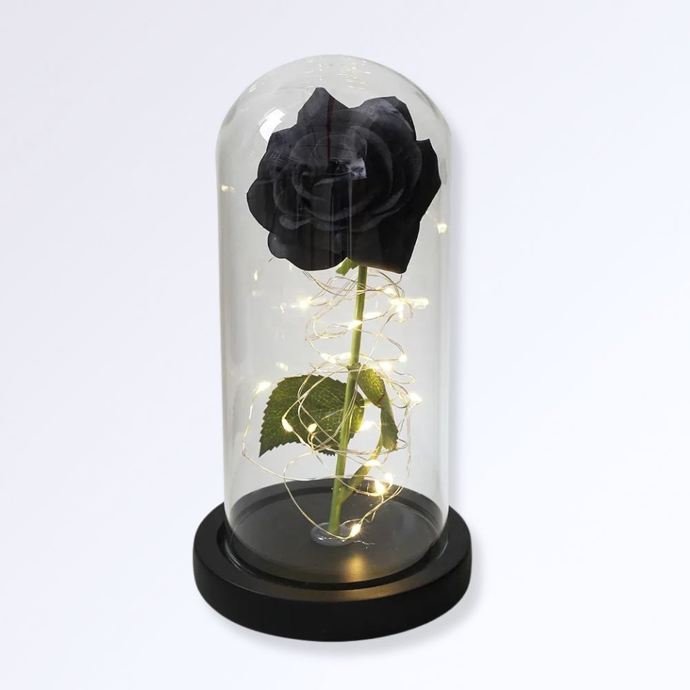 Rose Éternelle Sous Cloche  Socle Noir Couleur noir naturel
