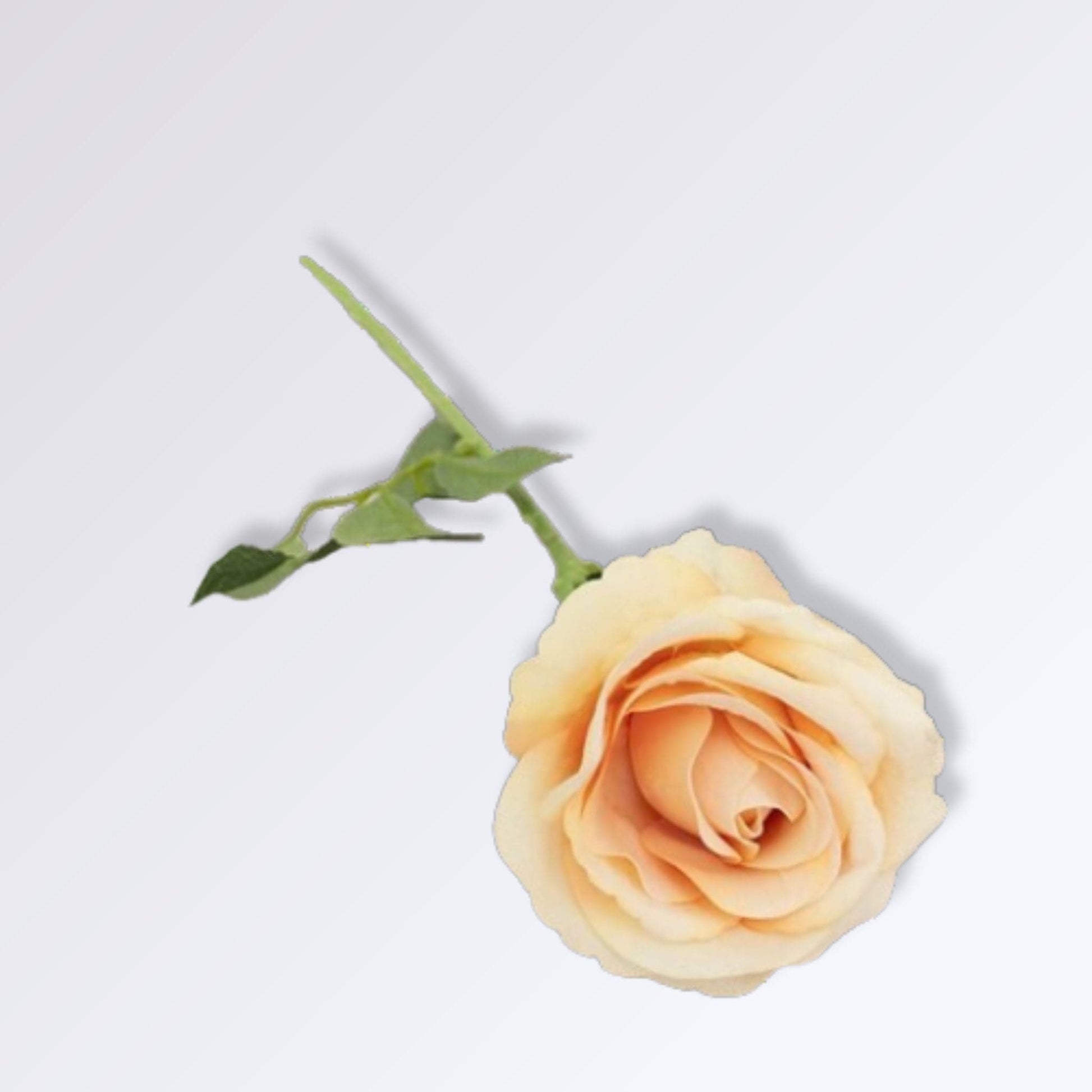 Rose Artificielle avec Tige | 50cm Pêche / 1 unité