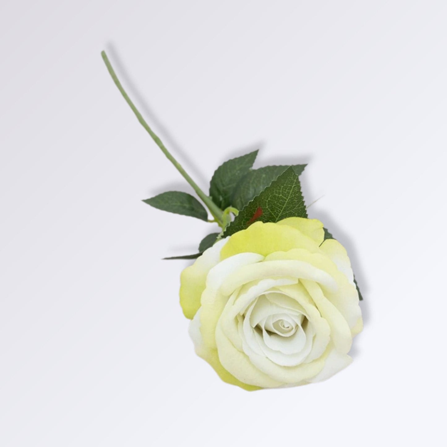 Rose Artificielle avec Tige | 50cm Blanc jaune / 1 unité