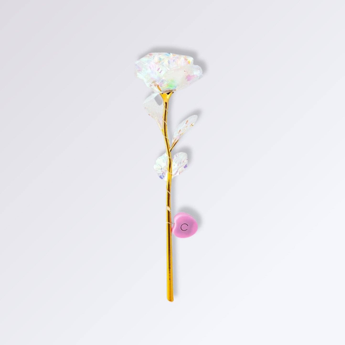 Rose Éternelle Dorée Blanc