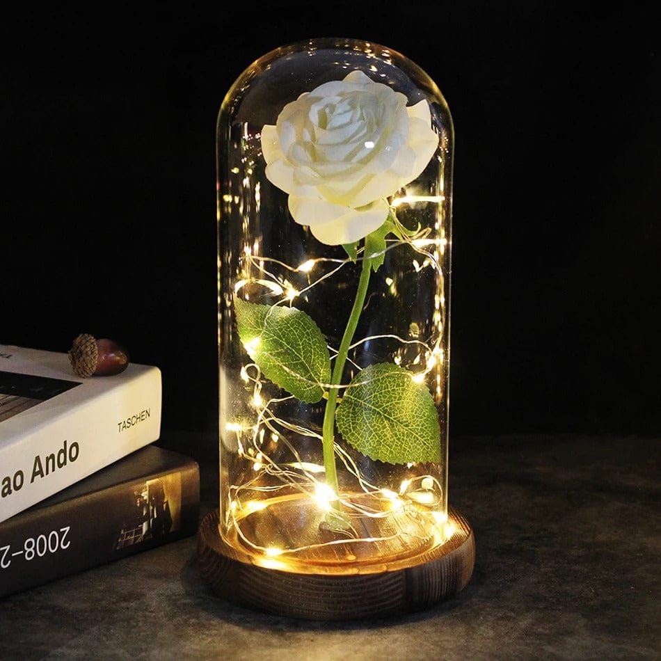 Rose Éternelle Sous Cloche avec LED Blanc