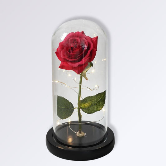 Rose Éternelle Sous Cloche | Socle Noir | Rouge