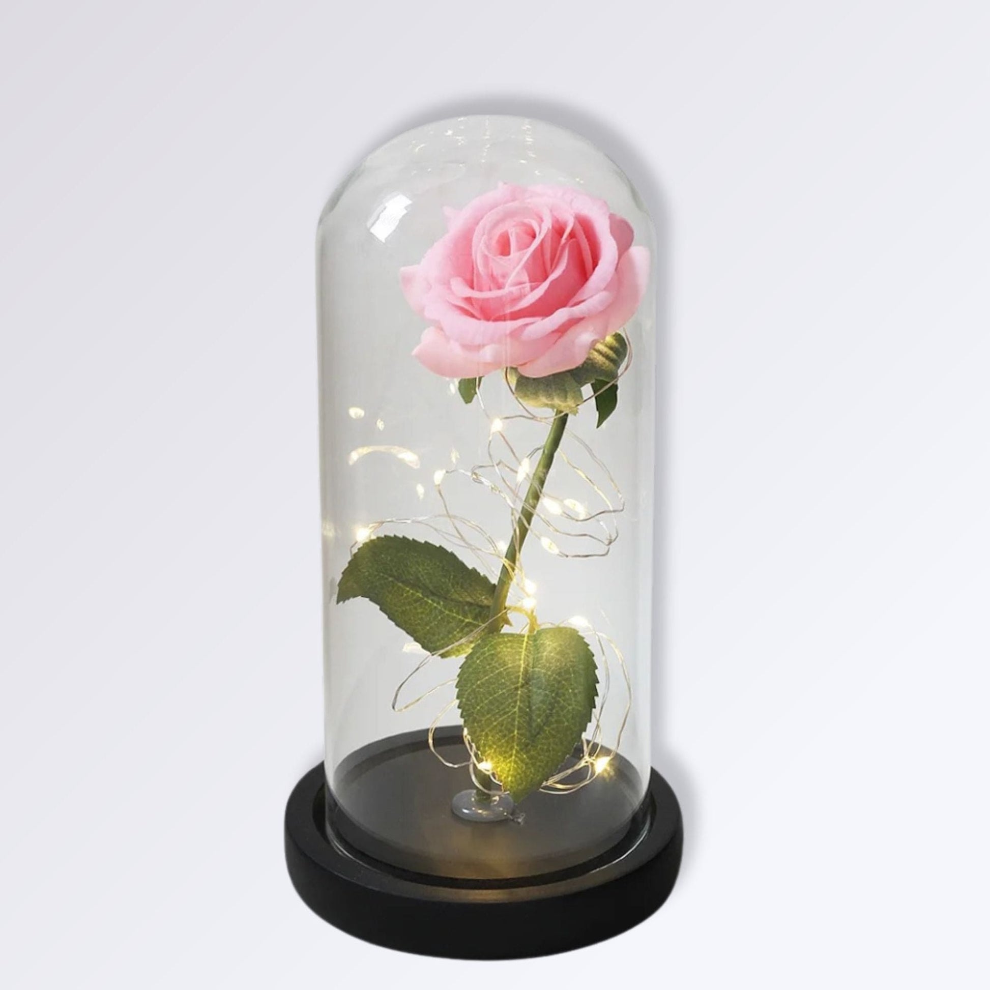 Rose Éternelle Sous Cloche | Socle Noir | Rose