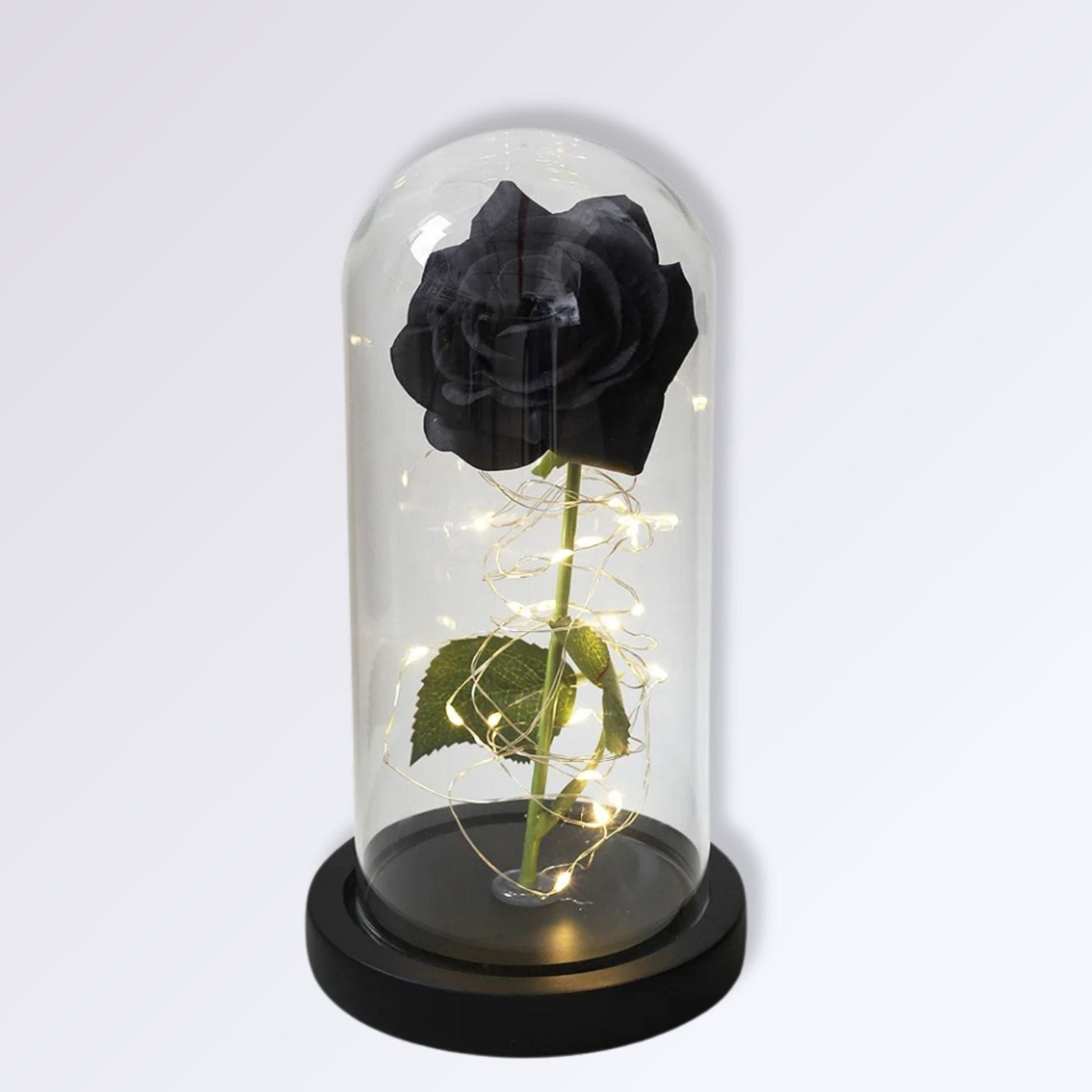 Rose Éternelle Sous Cloche | Socle Noir | Noir