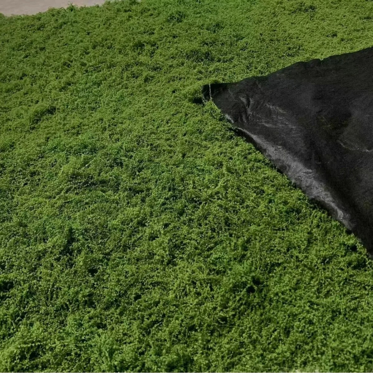 Tapis de mousse artificielle
