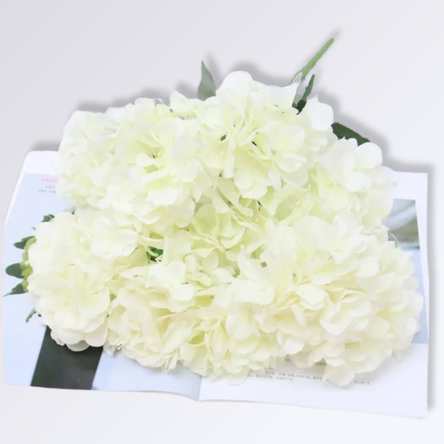 Bouquet d'Hortensia | Perles Vertes Blanc