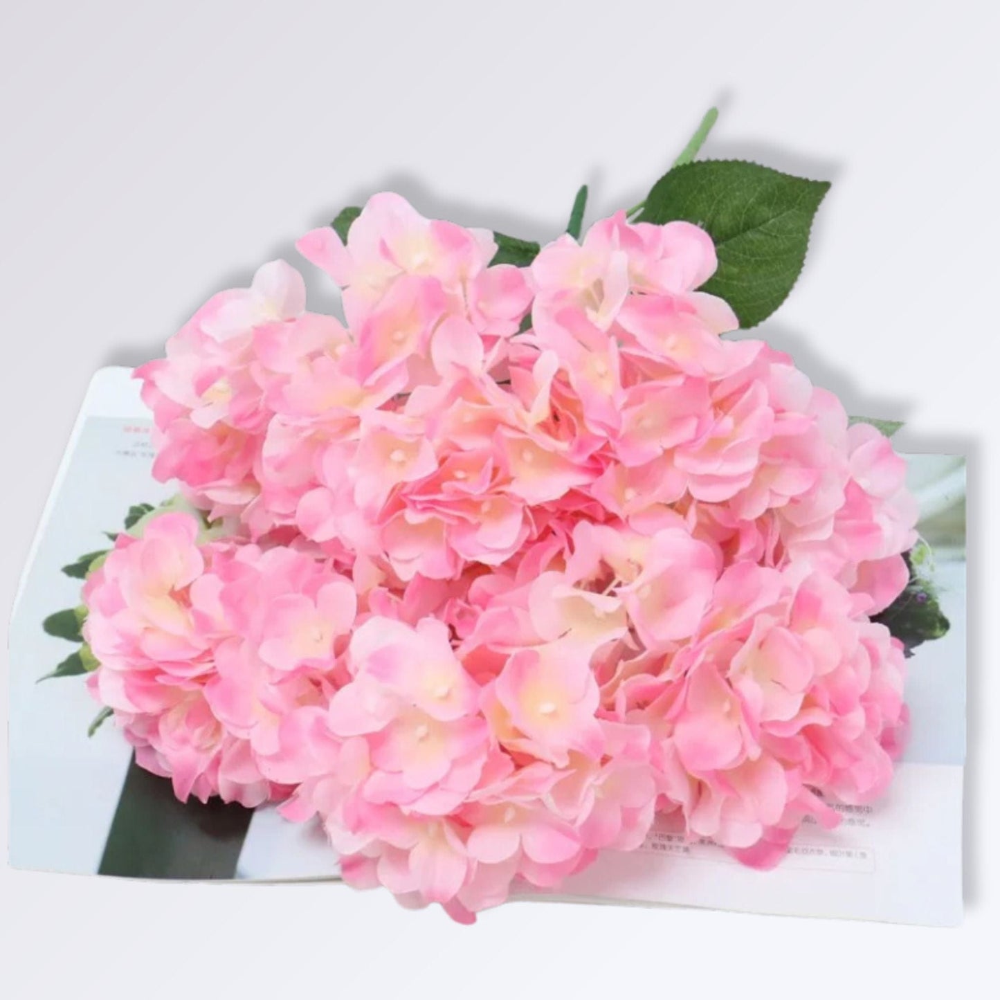 Bouquet d'Hortensia | Perles Vertes Rose