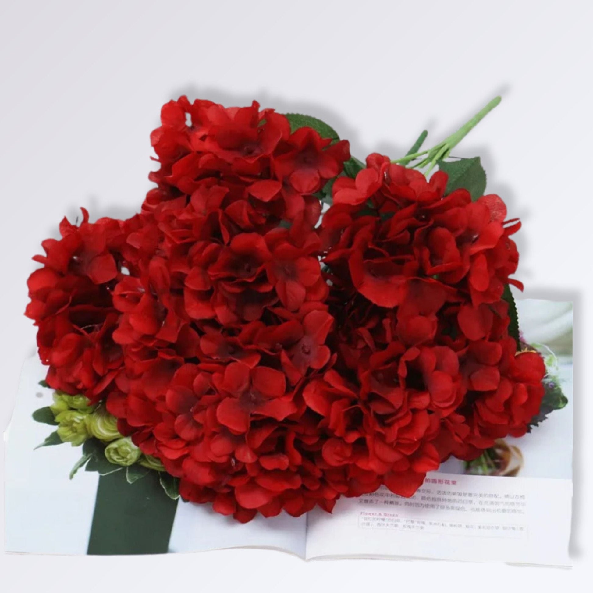 Bouquet d'Hortensia | Perles Vertes Rouge