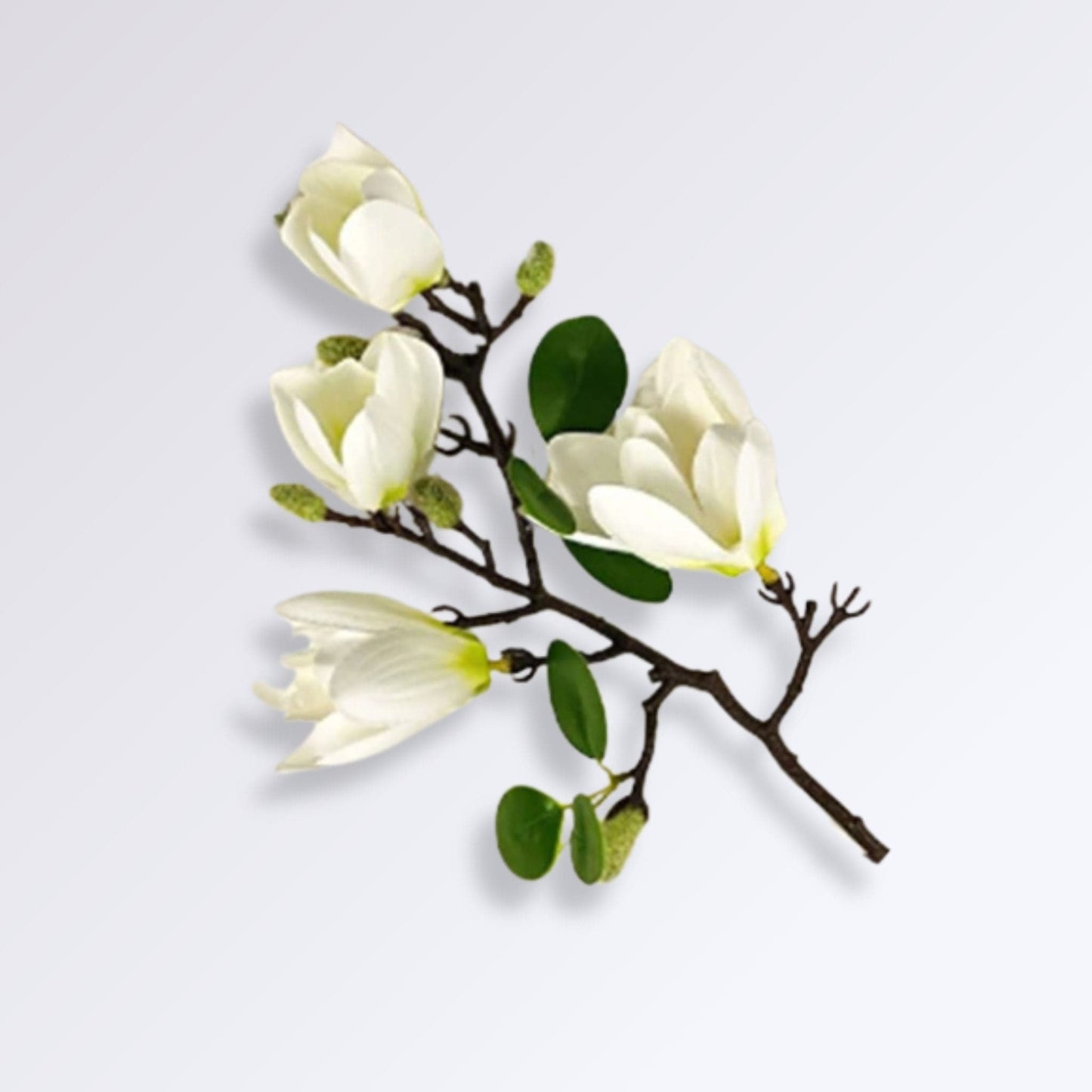 Branche de Magnolia Artificielle | Perles Vertes Blanc