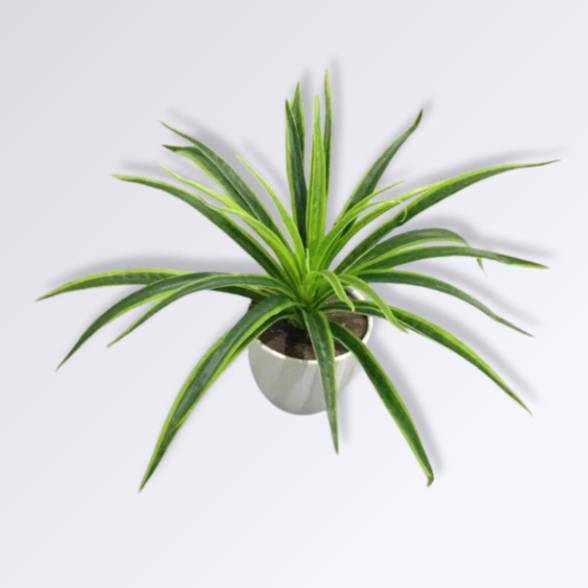 Chlorophytum Artificiel | Perles Vertes Vert