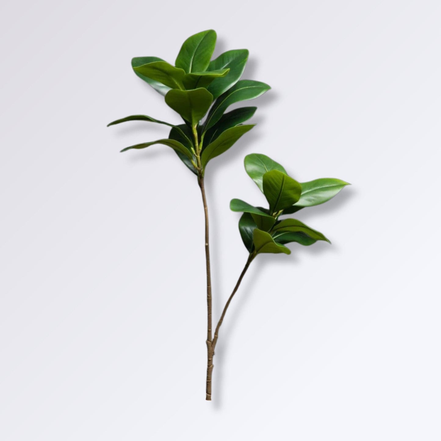 Ficus Artificiel Haut de Gamme 2 branches