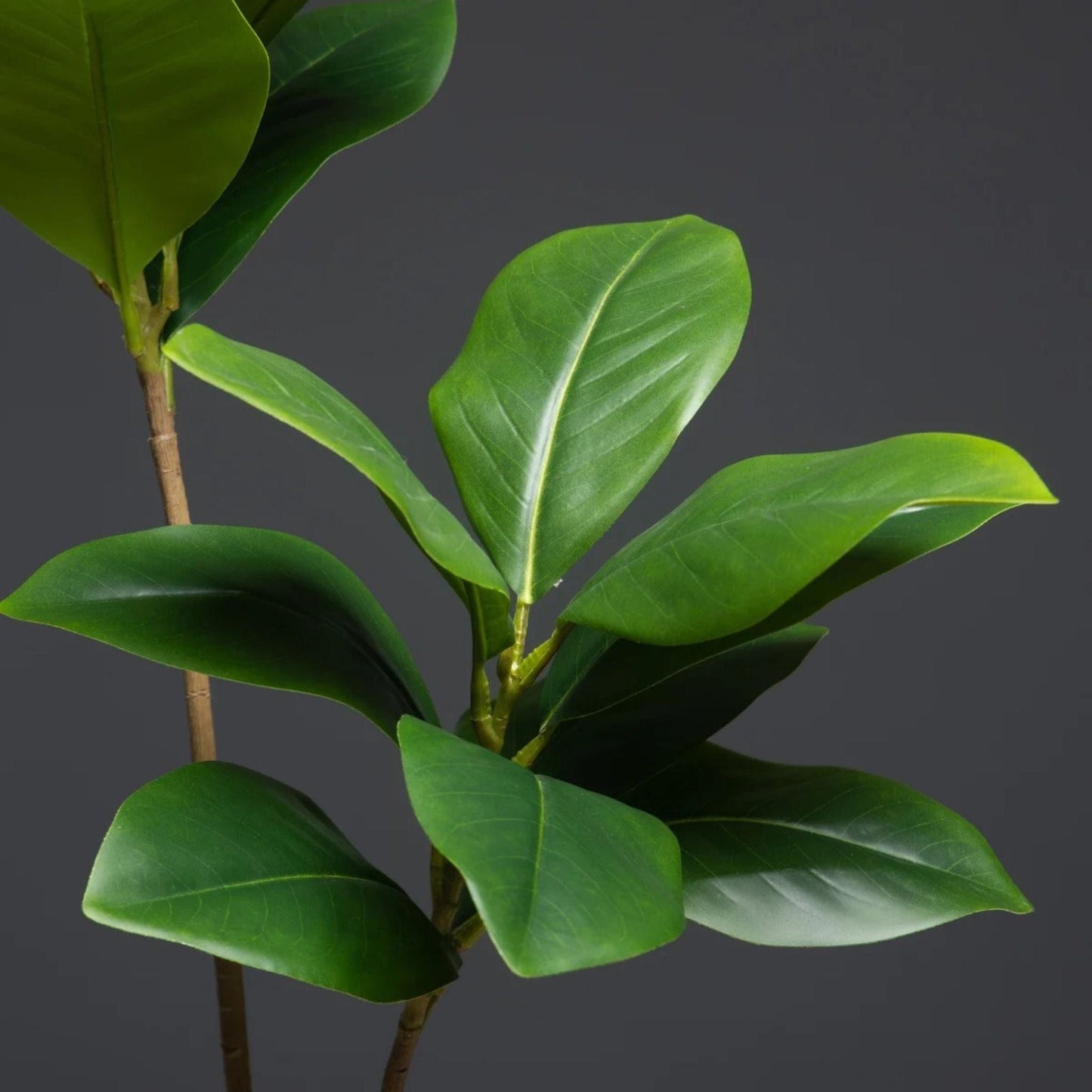 Ficus Artificiel Haut de Gamme 2 branches