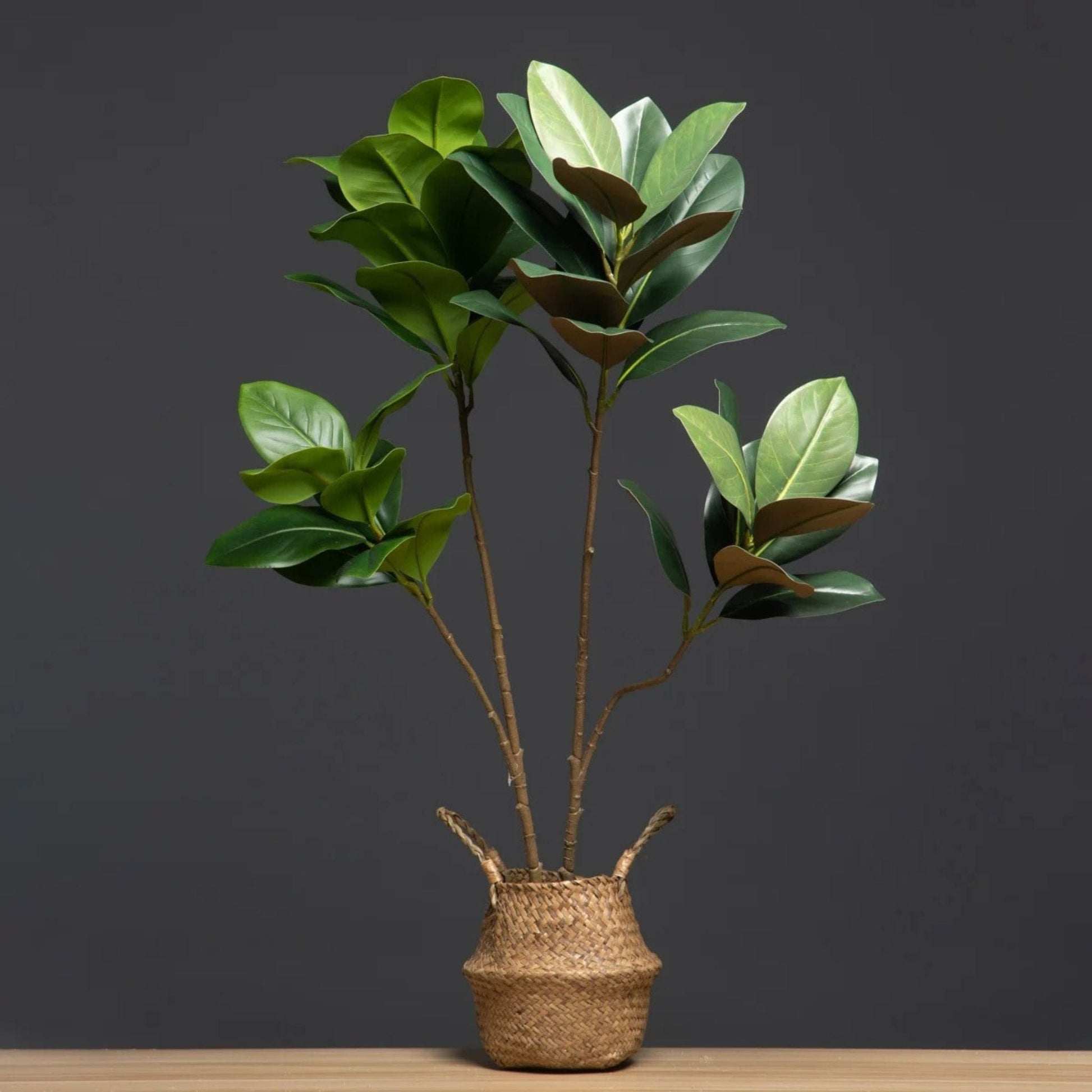 Ficus Artificiel Haut de Gamme 2 branches