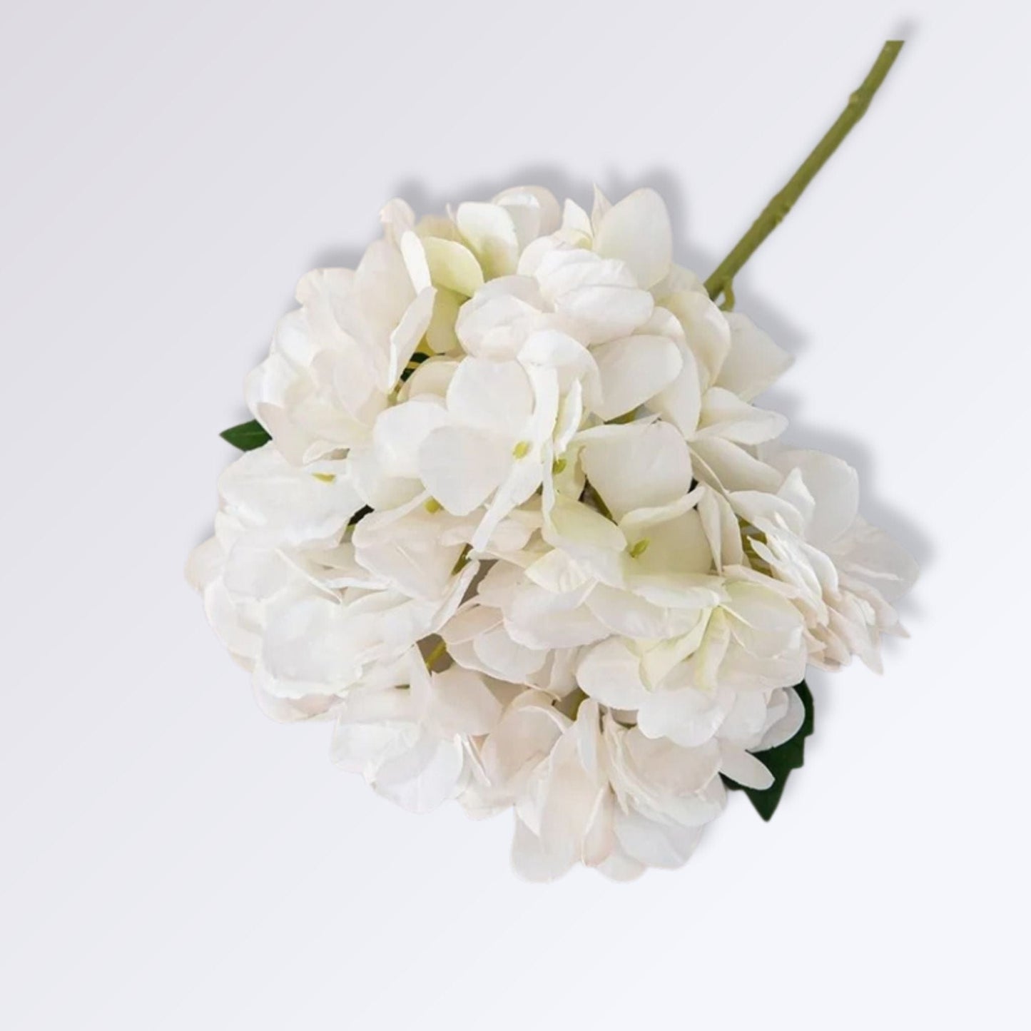 Fleur Hortensia Artificielle | Perles Vertes Blanc crème