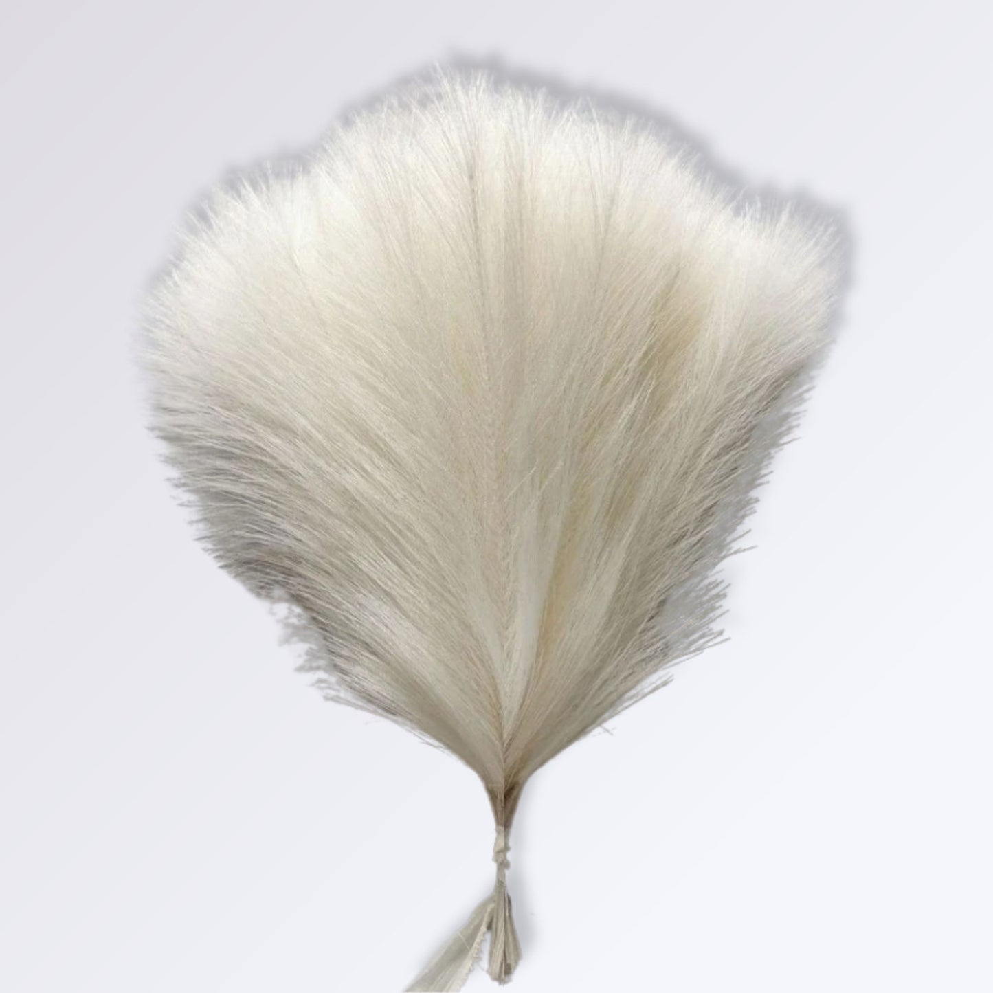 Herbe de la Pampa Artificielle Couleur Blanc pur / 10 branches